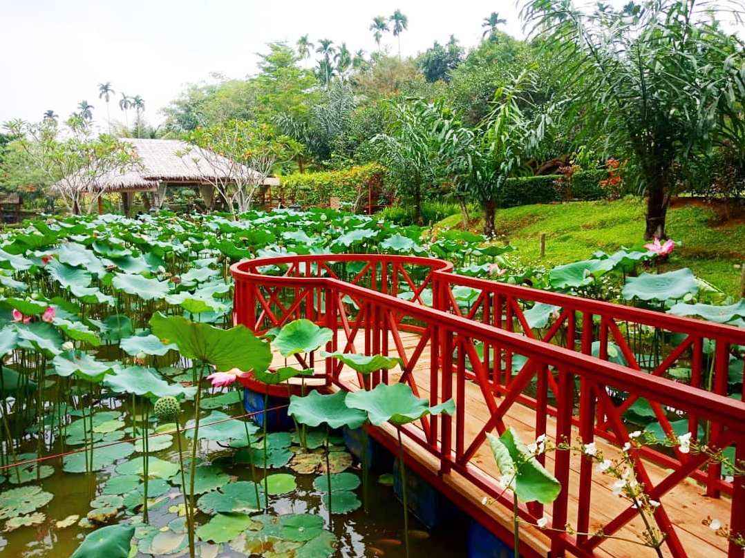 the le hu garden.jpg